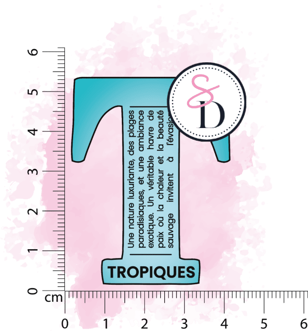 Tampon caoutchouc - LETTRE DÉFINITION T - Sous les tropiques