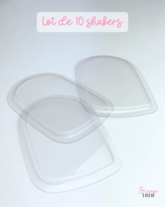 Shakers BOULE A NEIGE – Lot de 10 coques